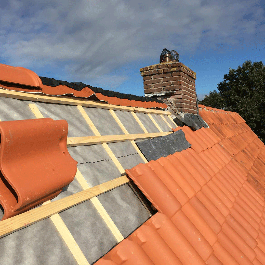 Meiresonne-Bouw-Renovatie-en-Onderhoud_0051_WhatsApp-Image-2026-01-10-at-09.23.47-(5)